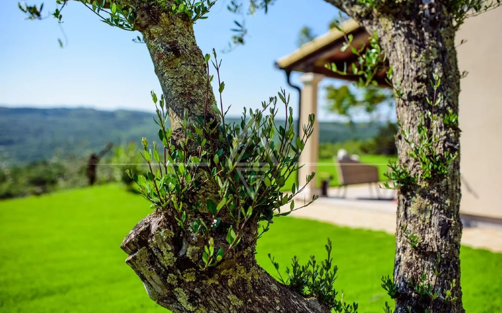 Villa in pietra di lusso in una zona isolata, Grožnjan, Istria